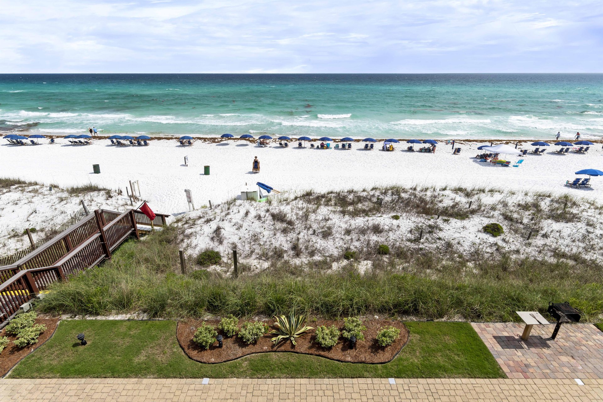 Coral Reef Club 34 23