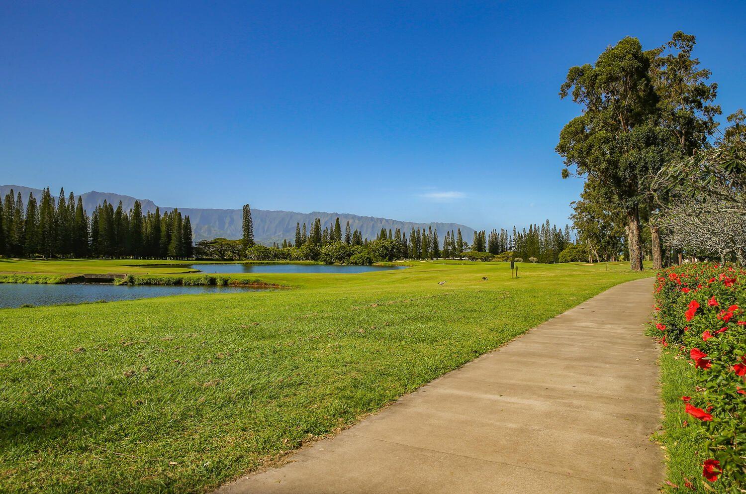 Puu Poa 309 38