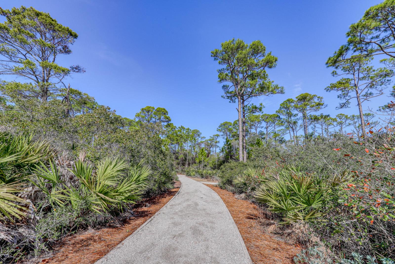 472856 Sanctuary By The Sea  1242 0 20224 19