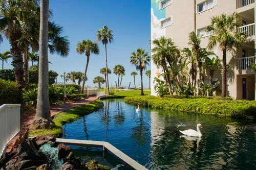 Tradewinds Island Grand in St Petersburg FL 60
