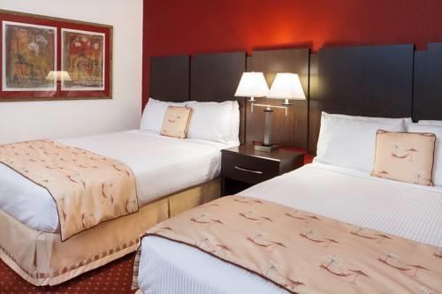 Sirata Beach Resort And Conference Center in St Petersburg FL 06