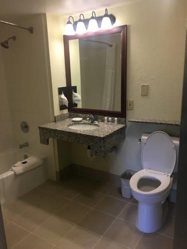 Best Western Plus Siesta Key Gateway in Sarasota FL 82