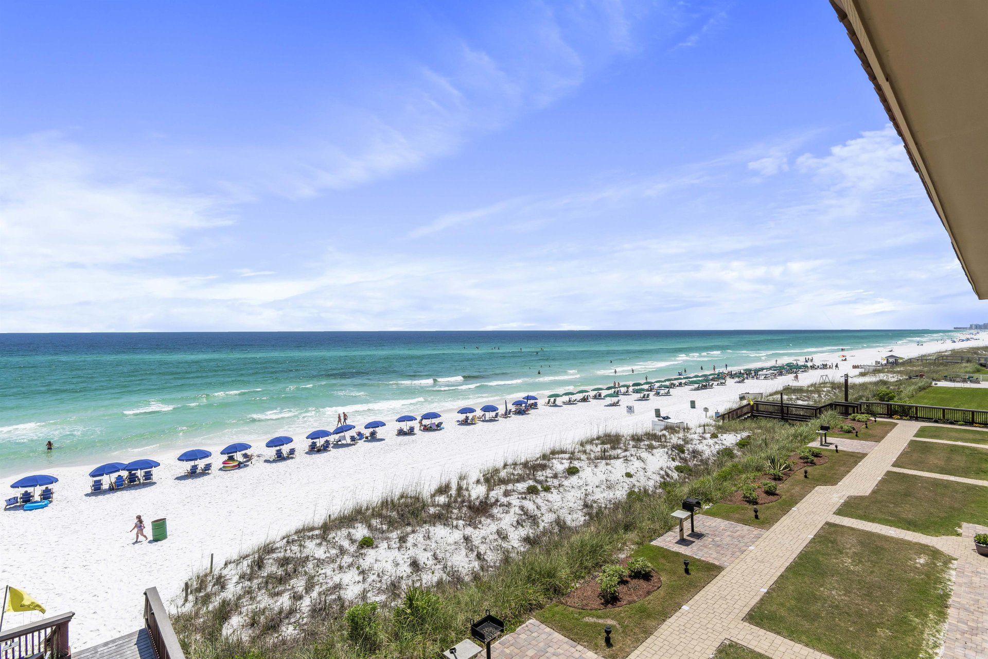 Coral Reef Club 40 22