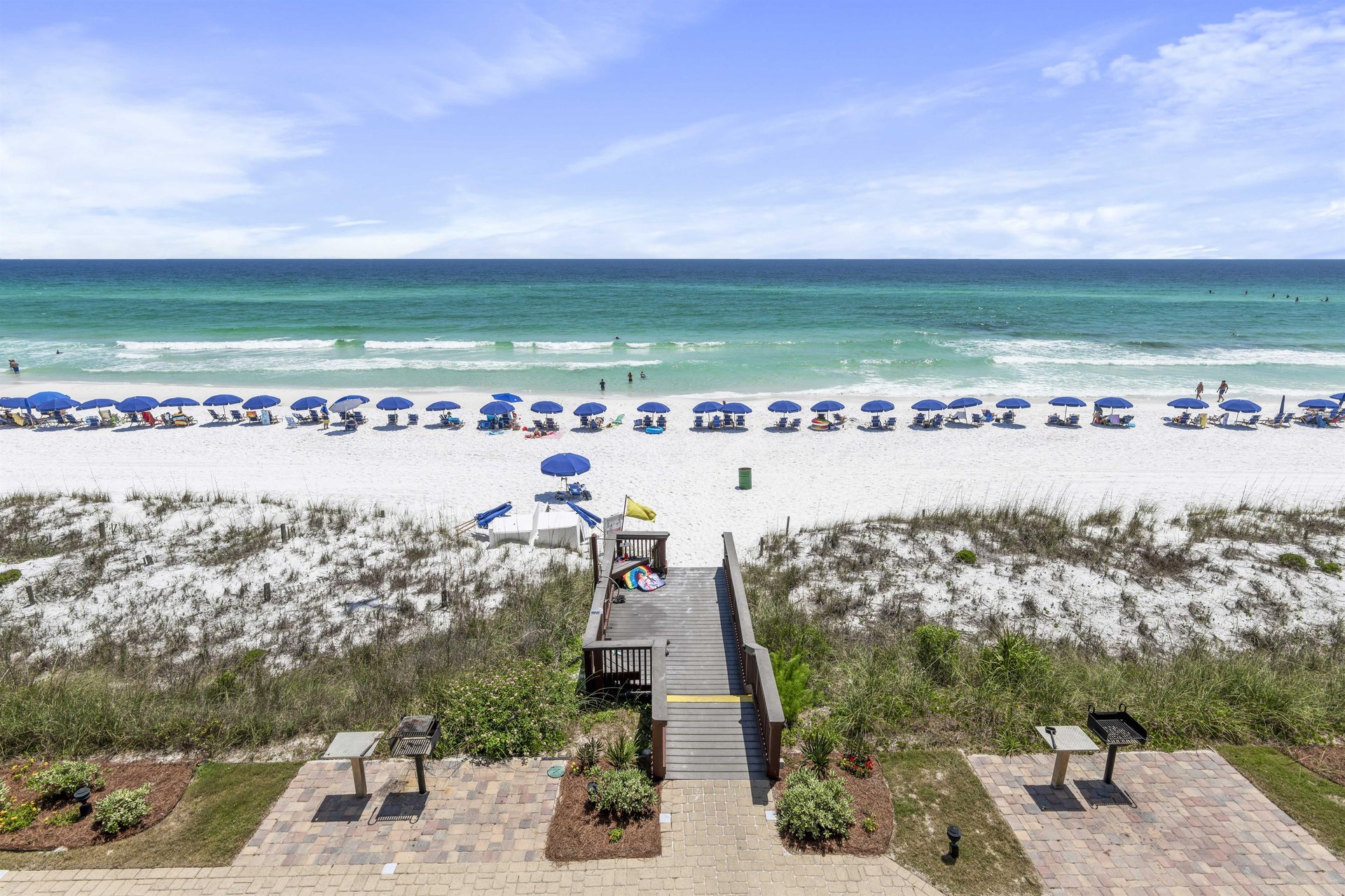 Coral Reef Club 40 24