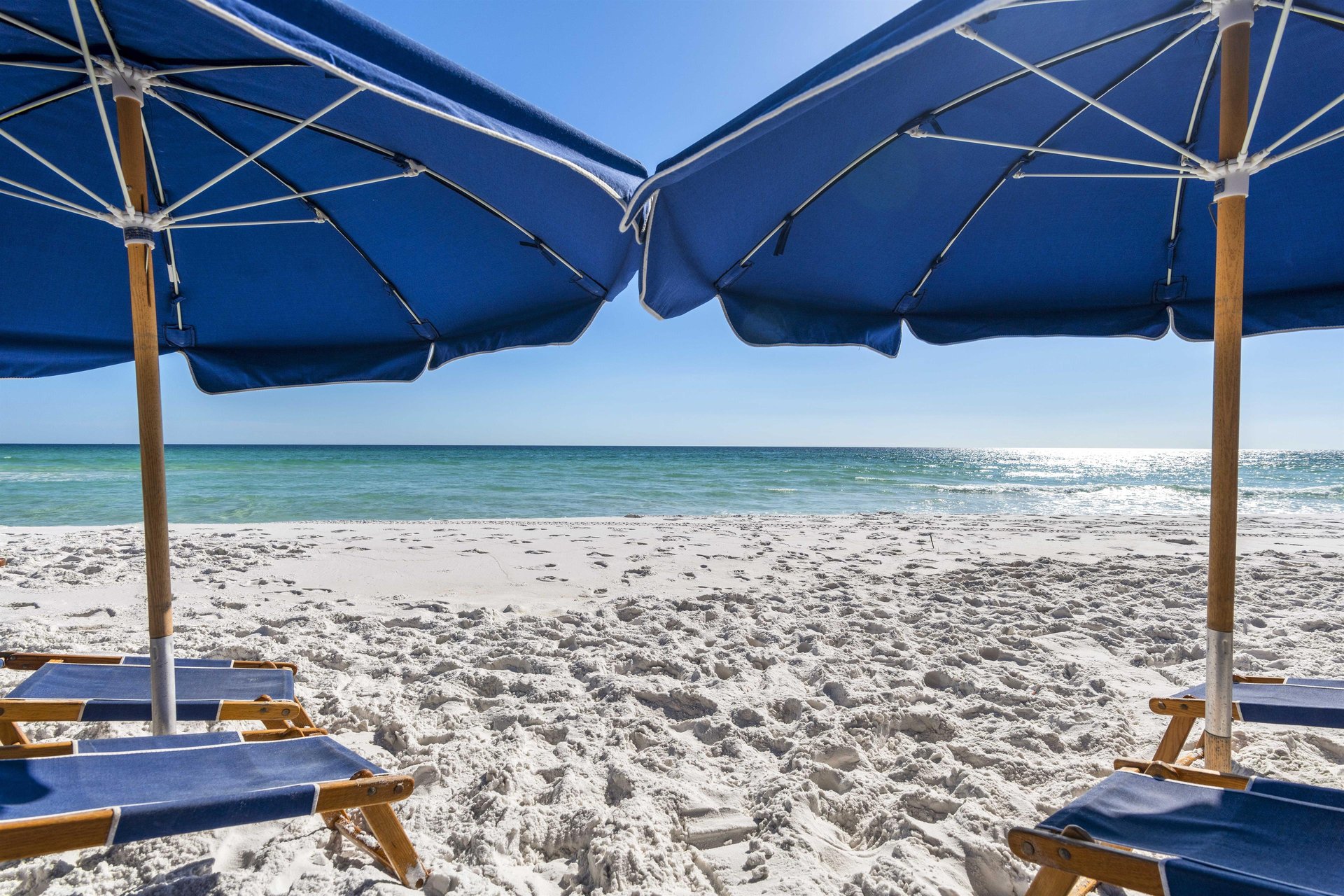 Coral Reef Club 04 32