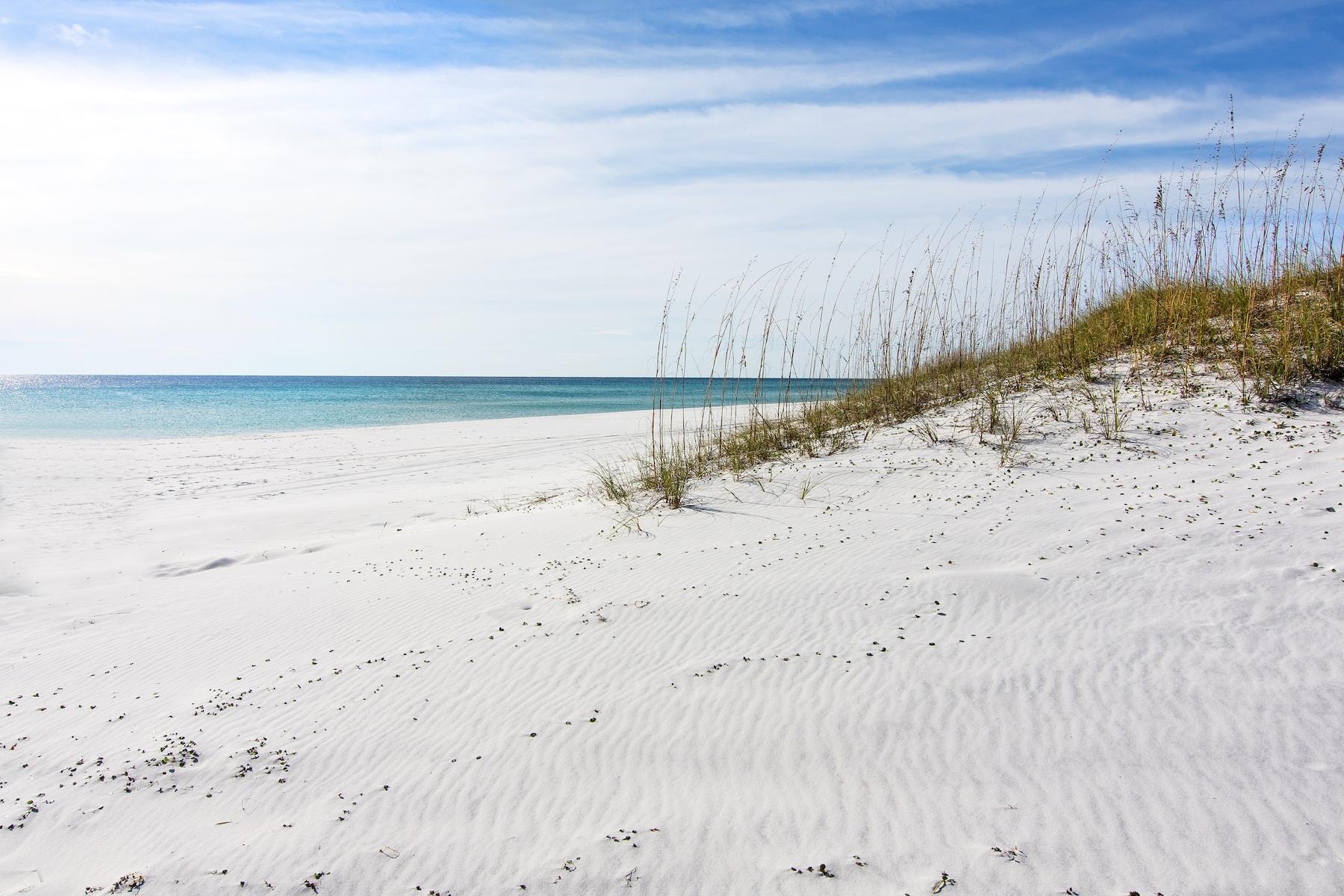 Beach Vibes 1 33