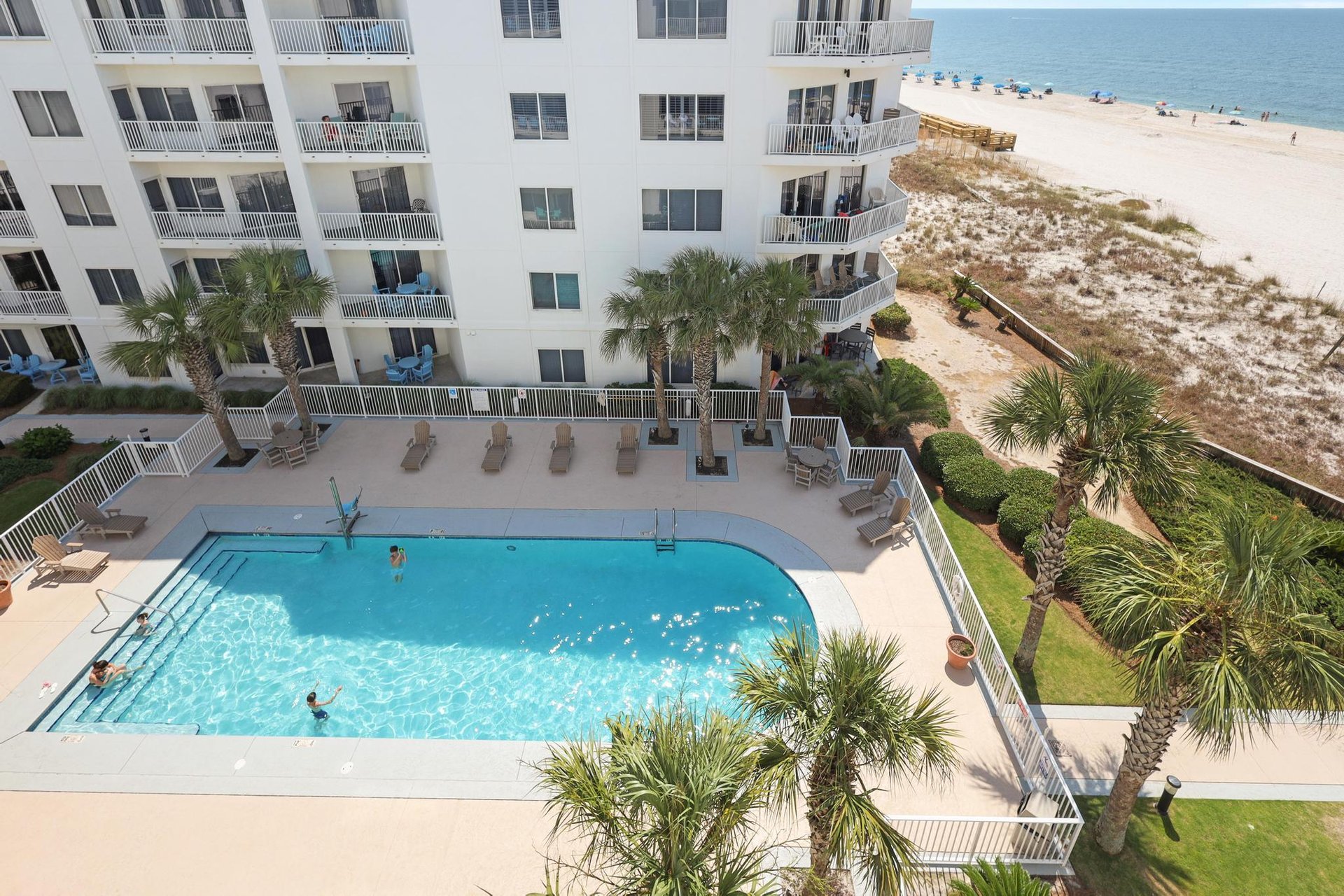 Palm Beach B52 29