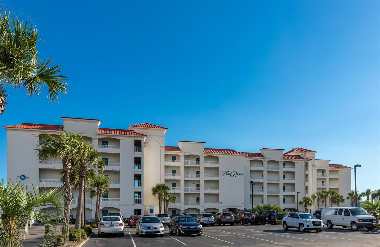 Palm Beach B52 41
