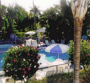 Caribe