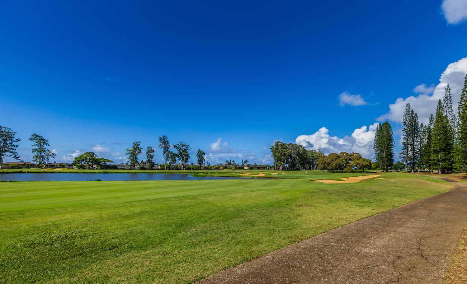 Kealoha 29
