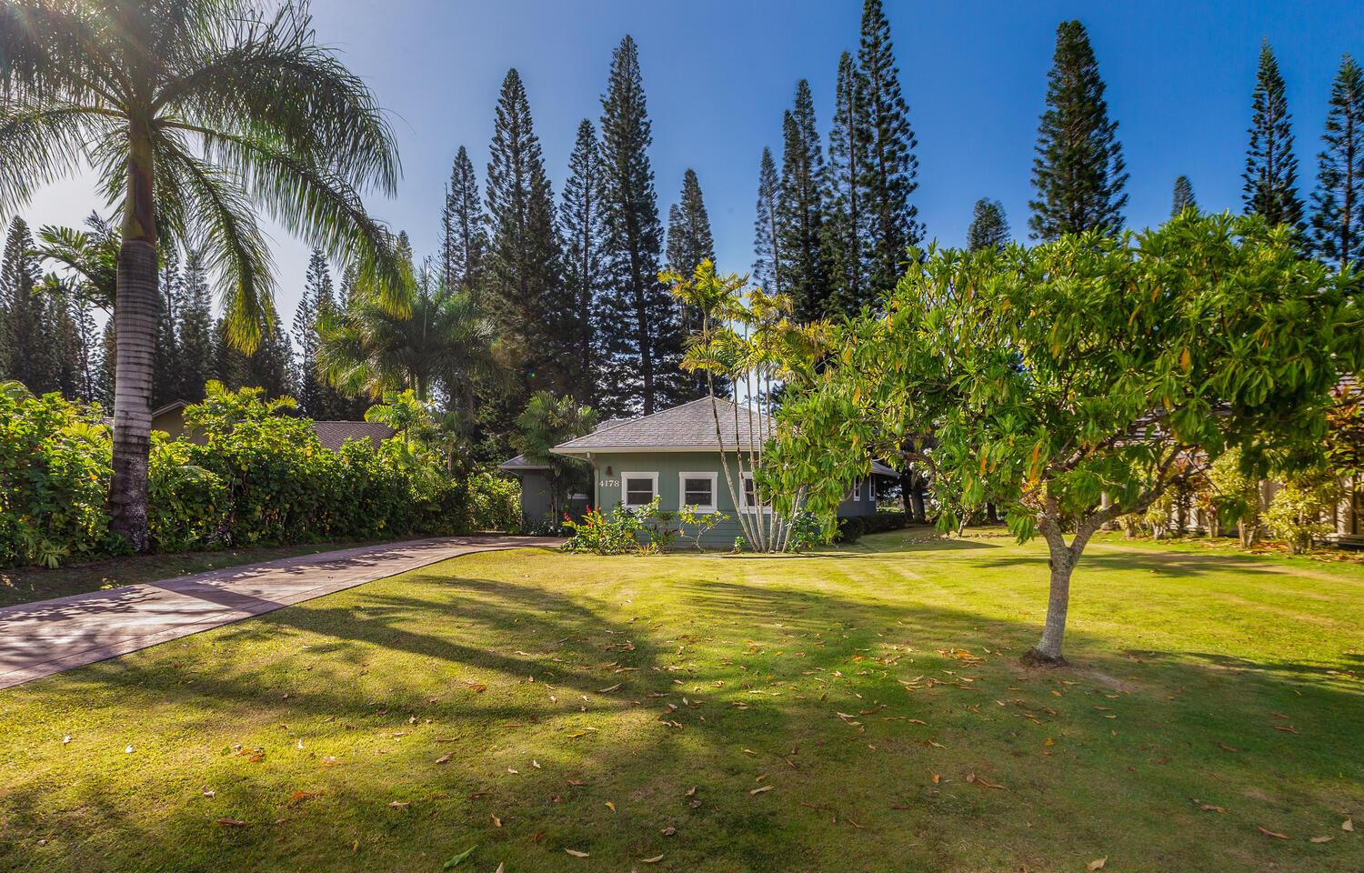 Kealoha 35