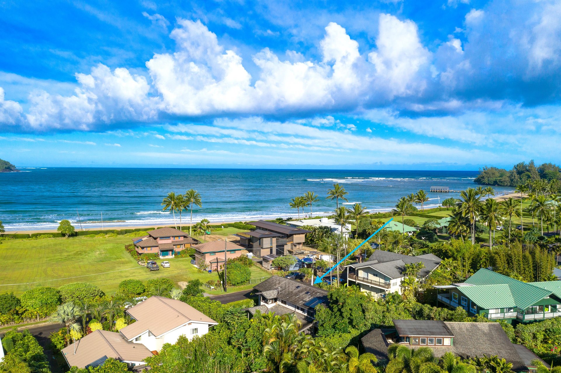 Nalu Hanalei 50