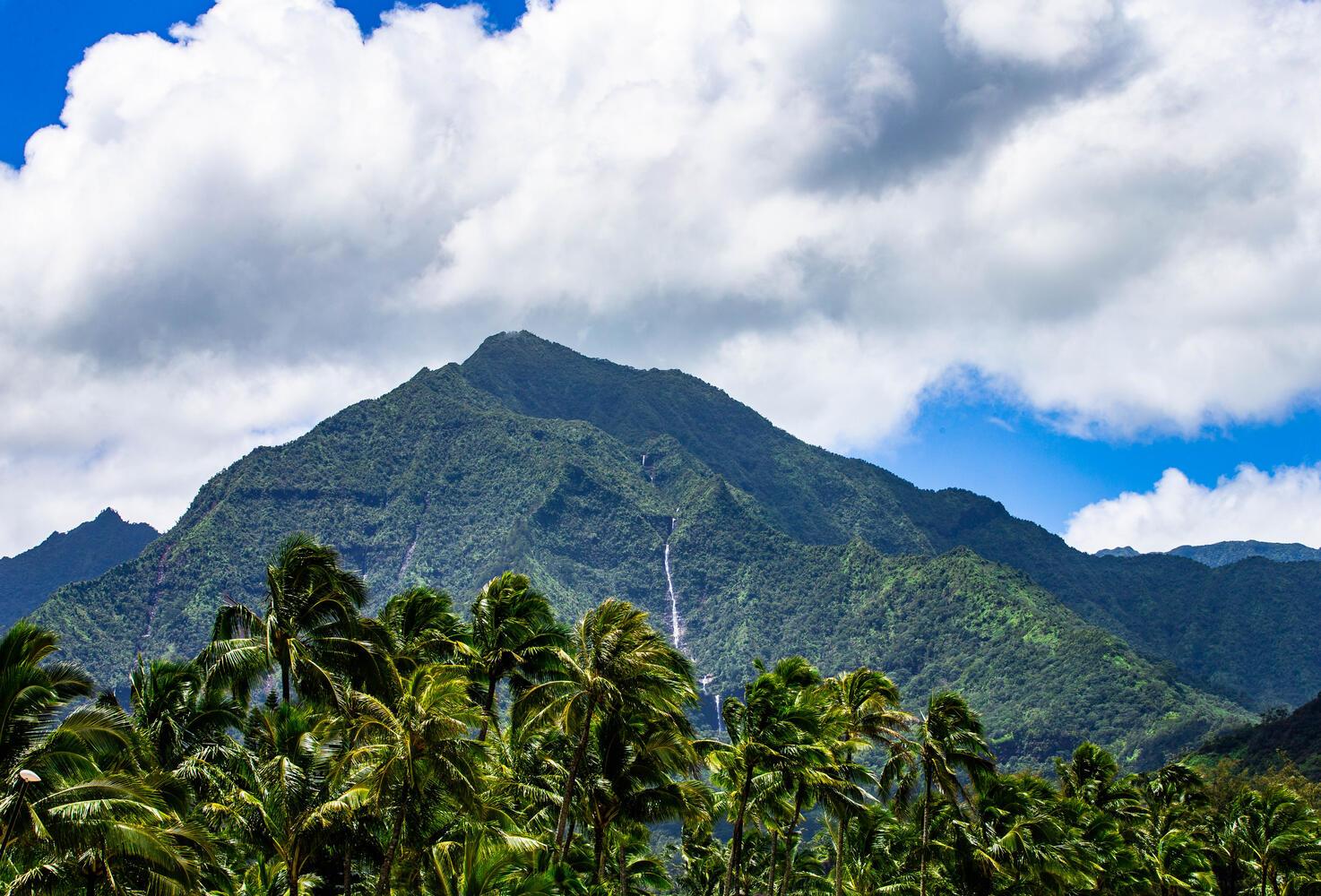 Nalu Hanalei 54