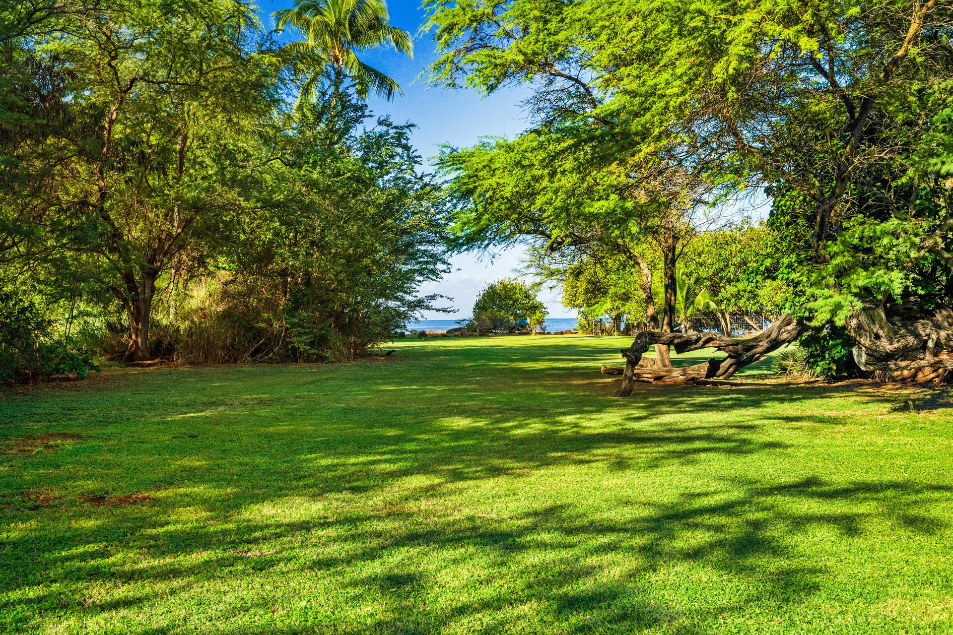 Hale Pakala front yard view