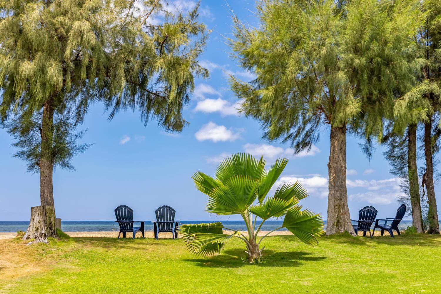 Perfect spot to feel the ocean breeze and enjoy the view