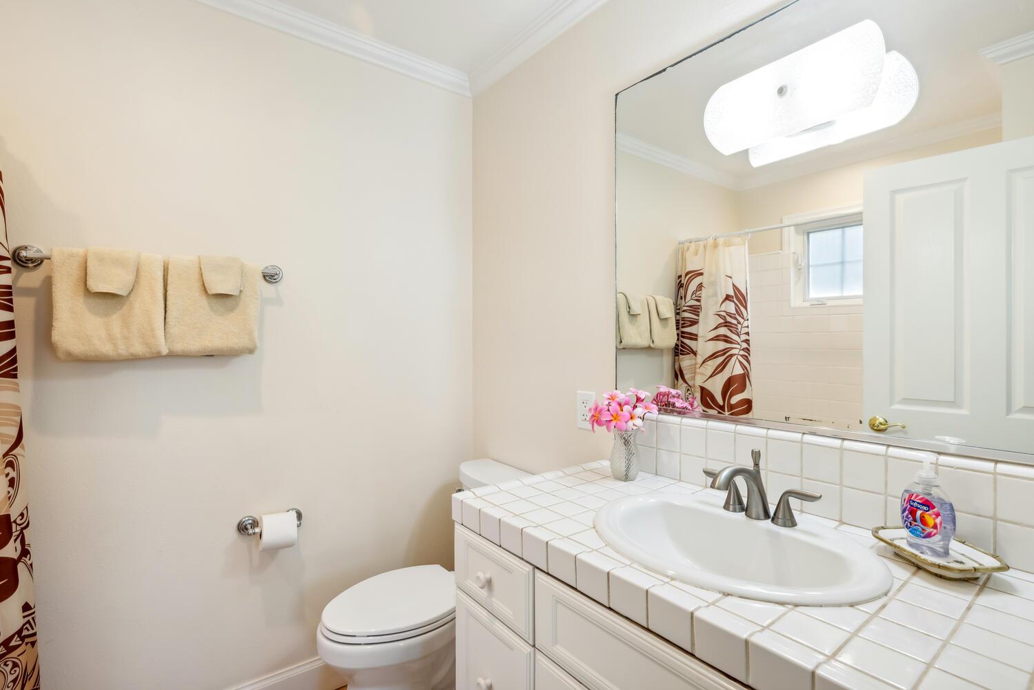 Downstairs master suite bathroom