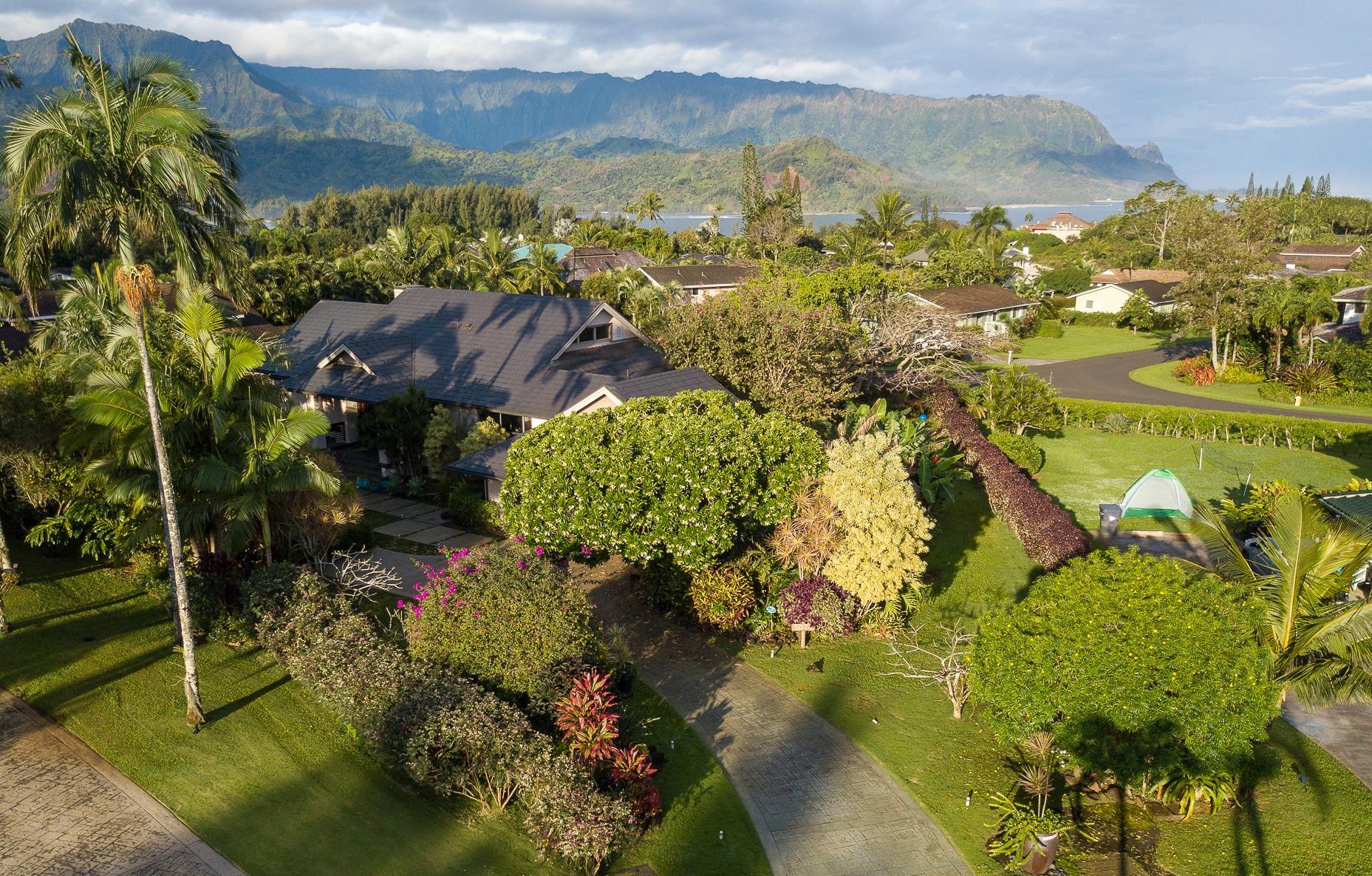 Orchid Hale Aerial View