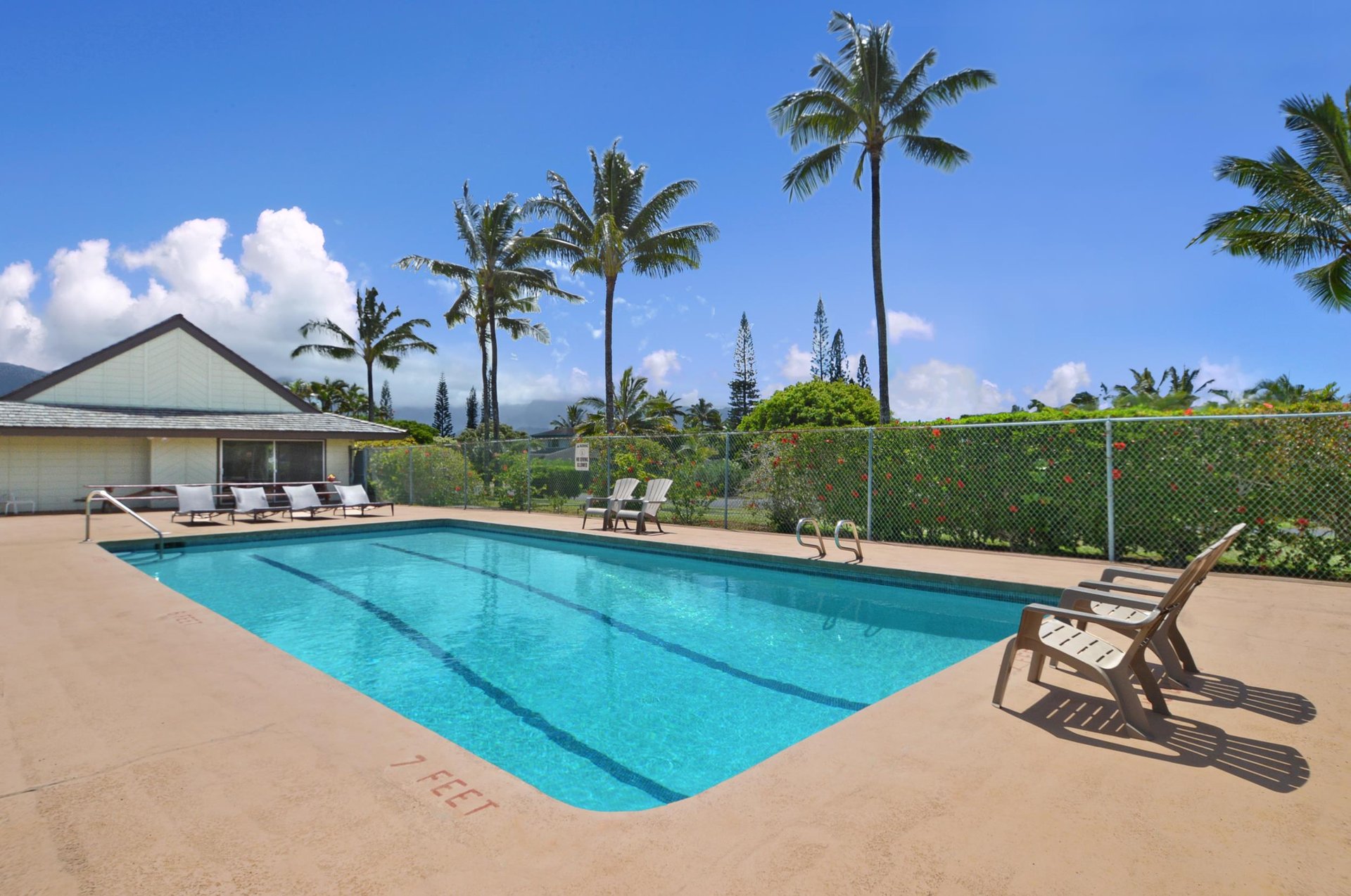 Shared Pool