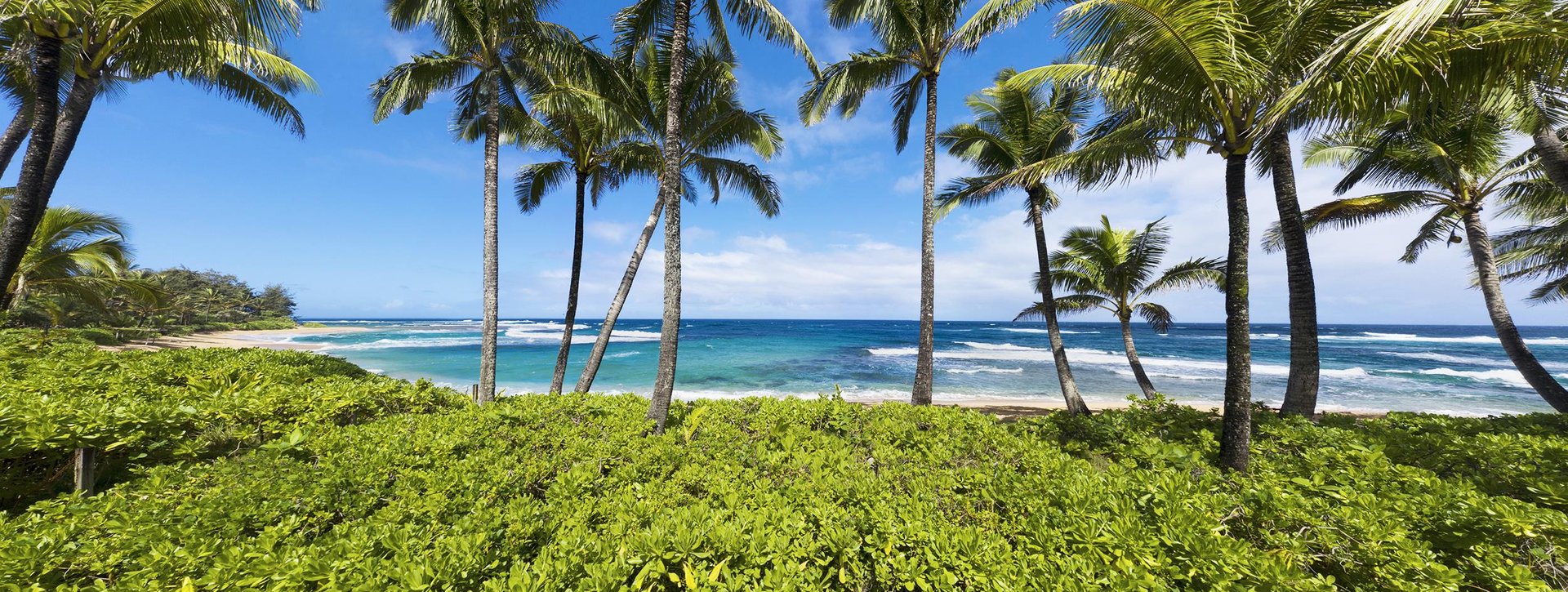 Beach View