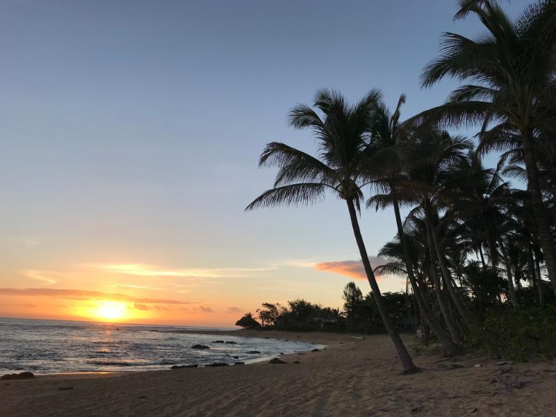 Sunset