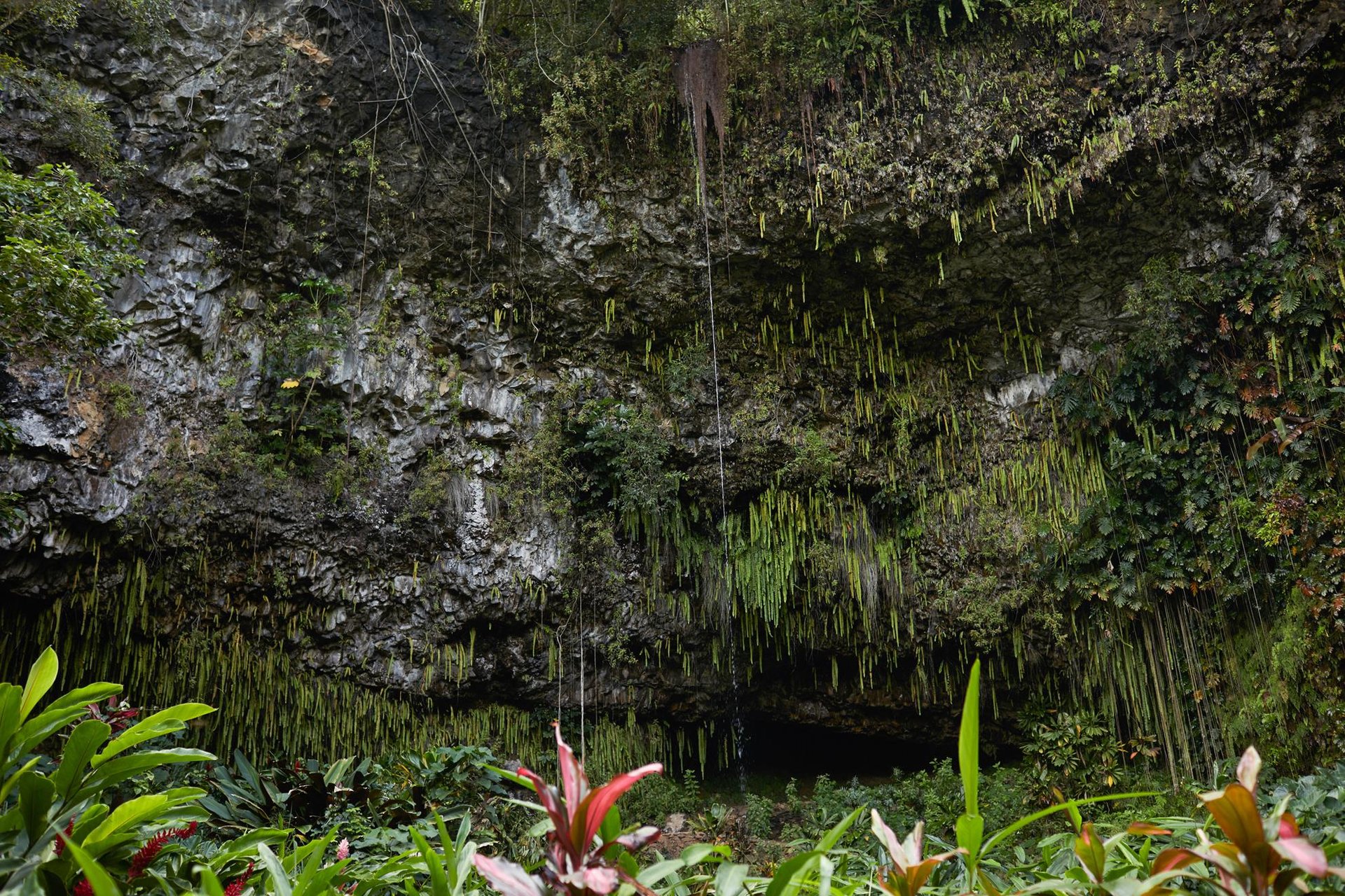 The Fern Grotto ... Credit HTA  Daeja Fallas