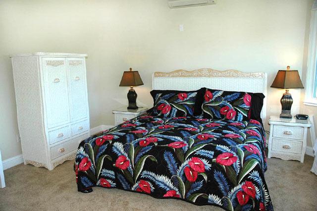 Downstairs Bedroom