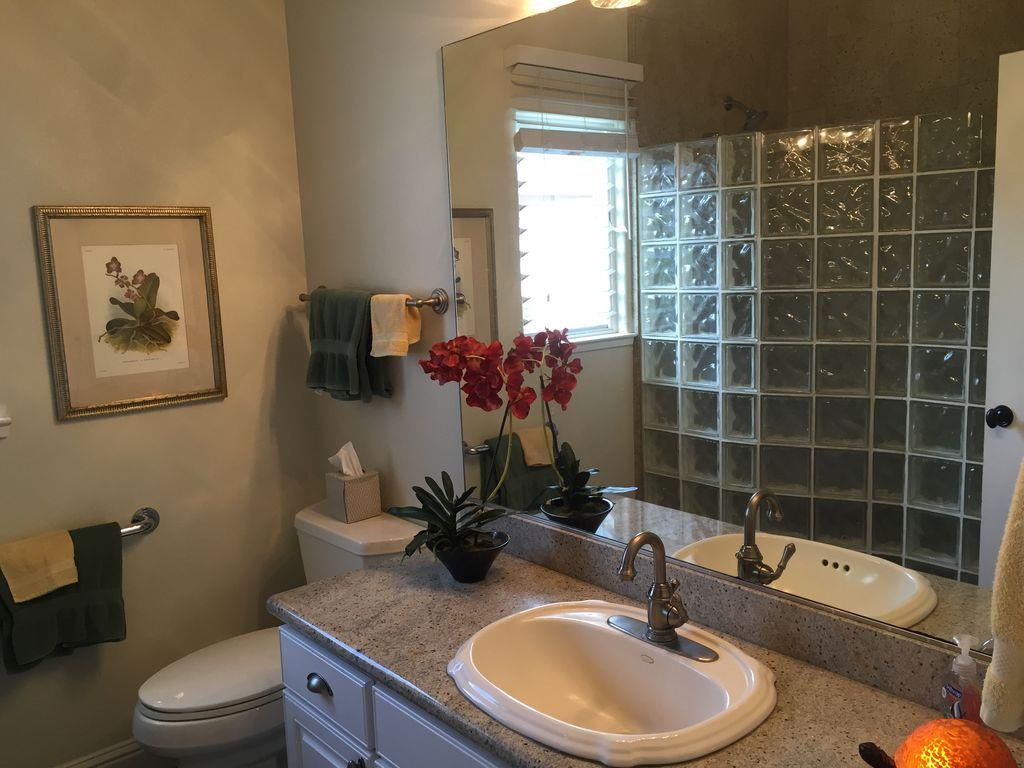 Downstairs Bath with glass block walkin shower