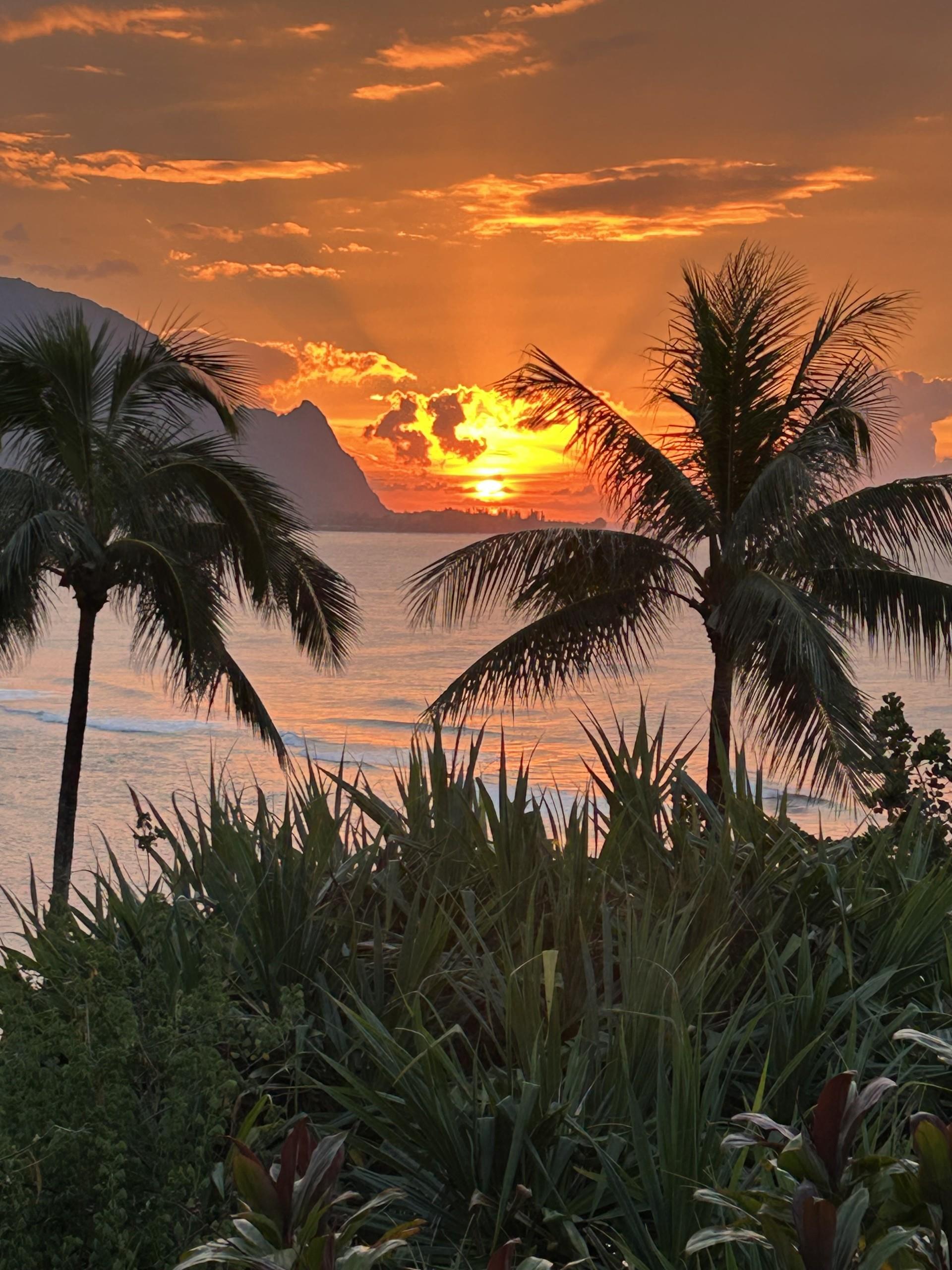 Be amused by the amazing sunsets