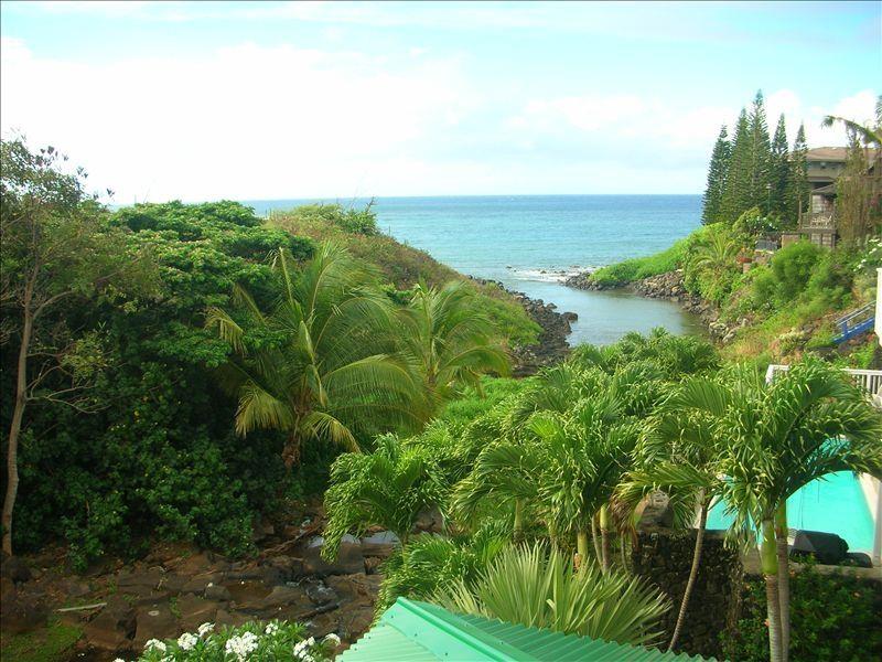 Turtle Cove from upstairs deck