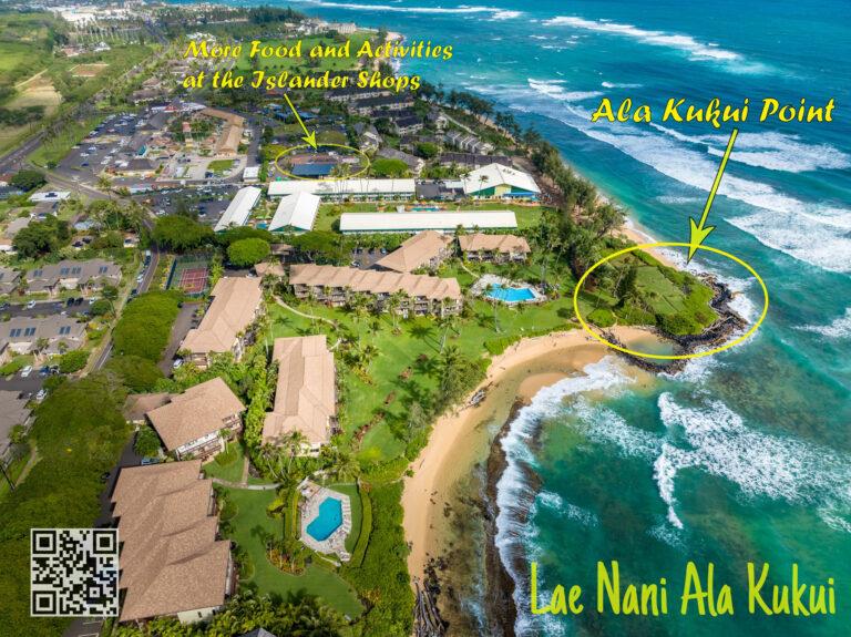 Aerial view of property facing Northeast