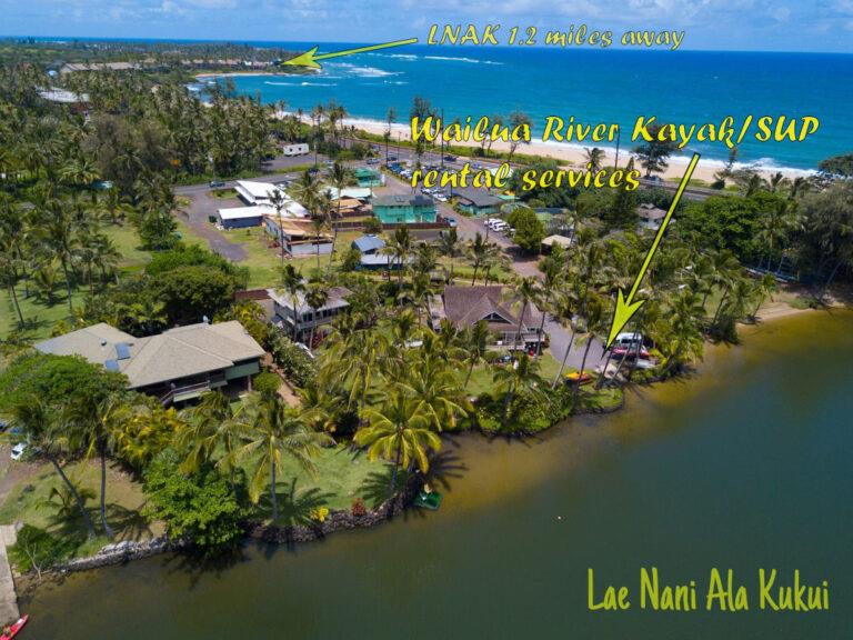 Kayak up Wailua river