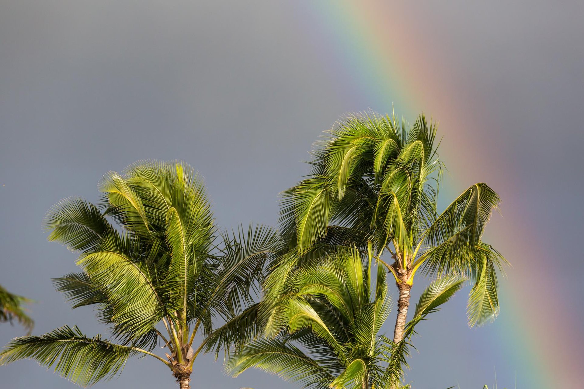 Anuenue rainbow ... Credit HTA  Tor Johnson