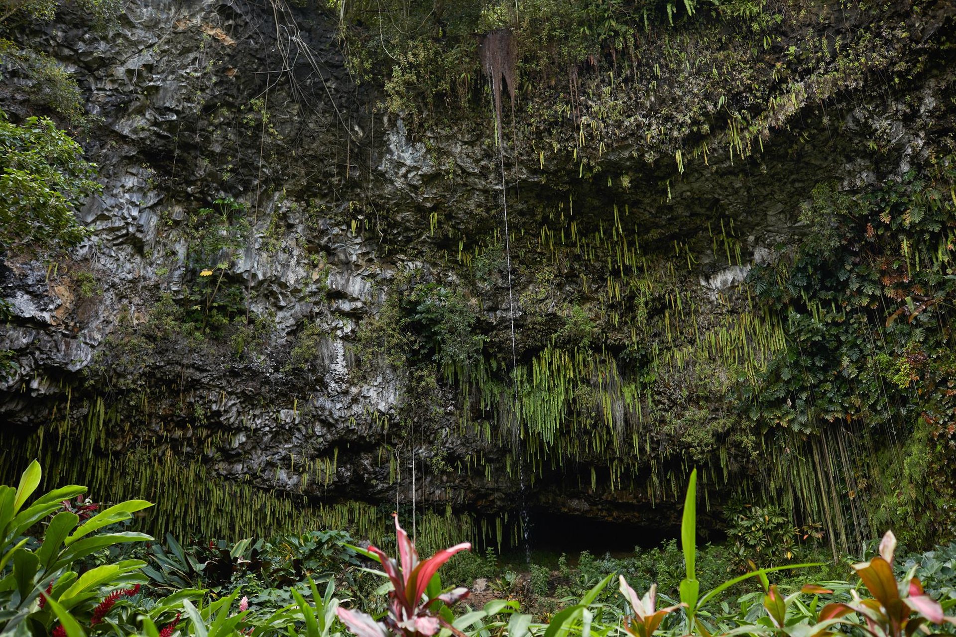 The Fern Grotto ... Credit HTA  Daeja Fallas
