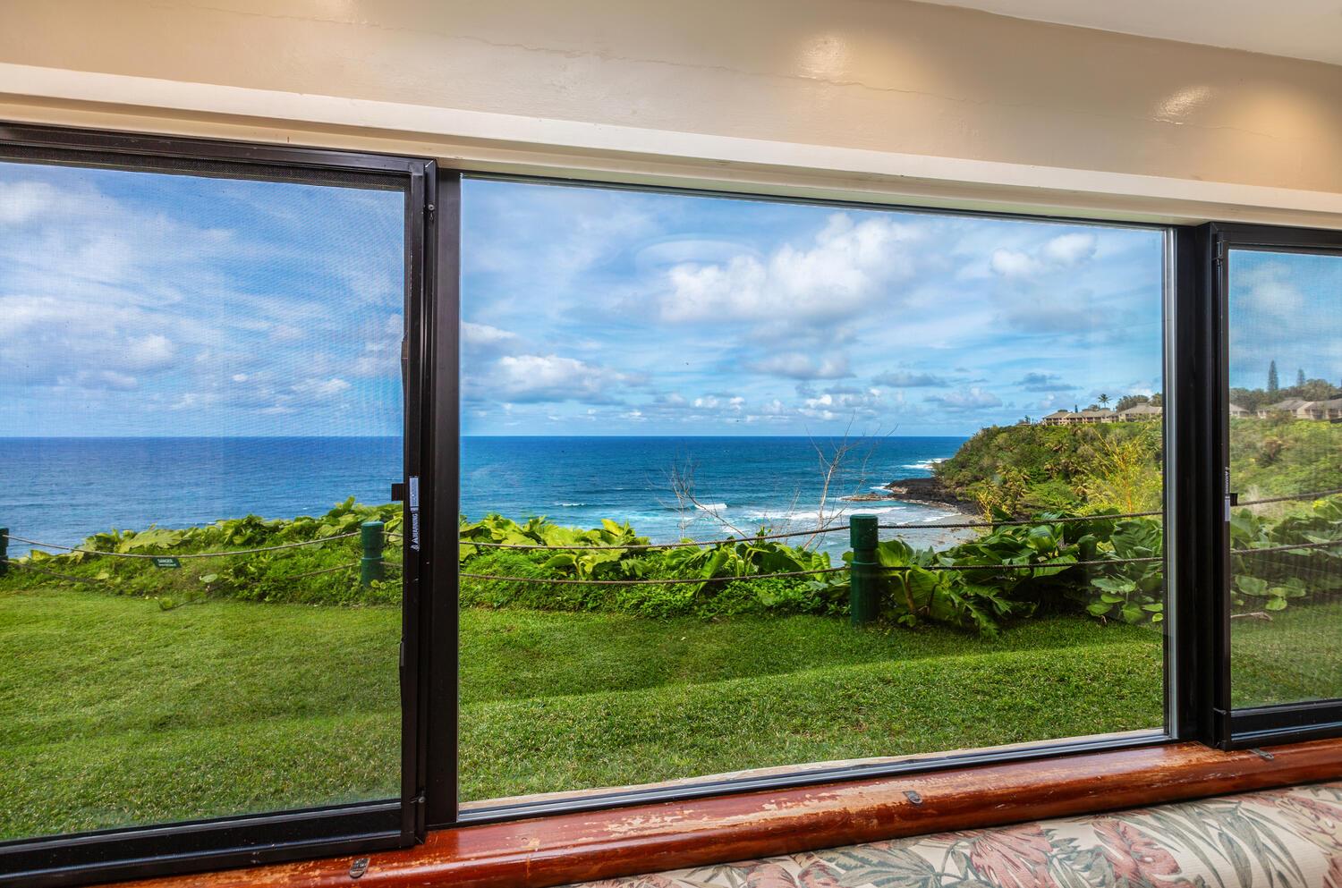 View from dining area