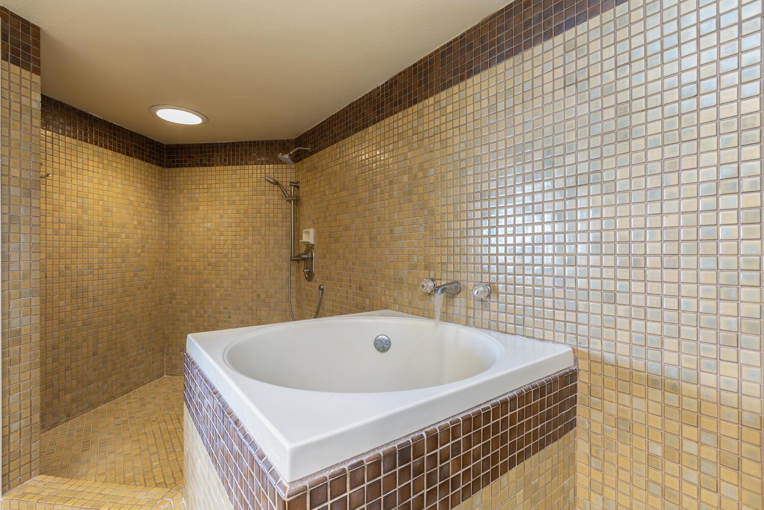 Master bathroom