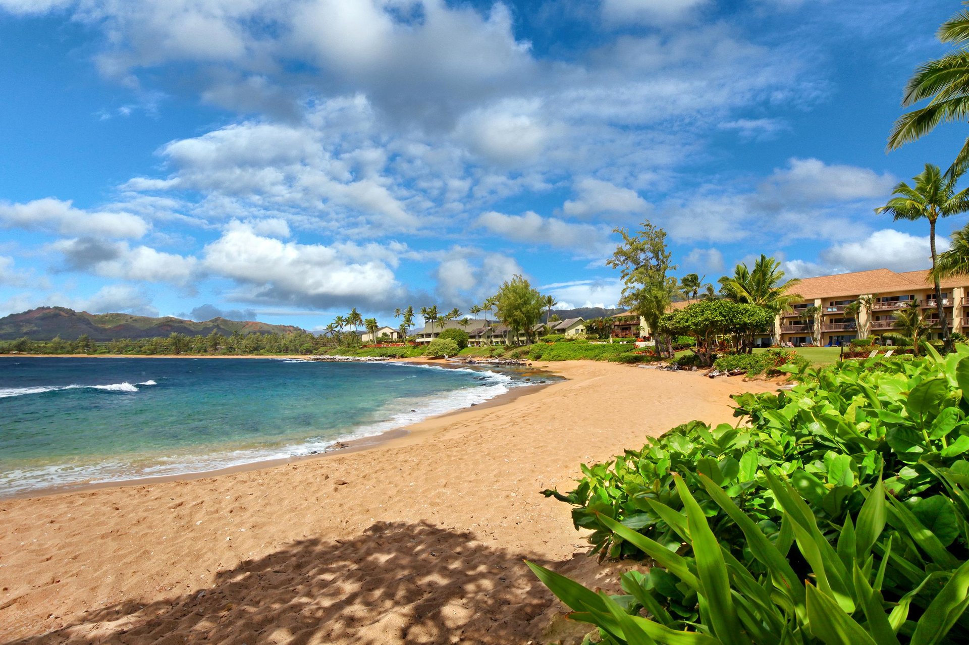 Enjoy romantic walks along the beach