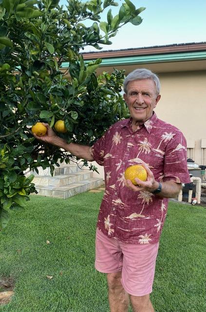 Navel Orange, papaya, avocado, Tahitian lime  Meyer lemons