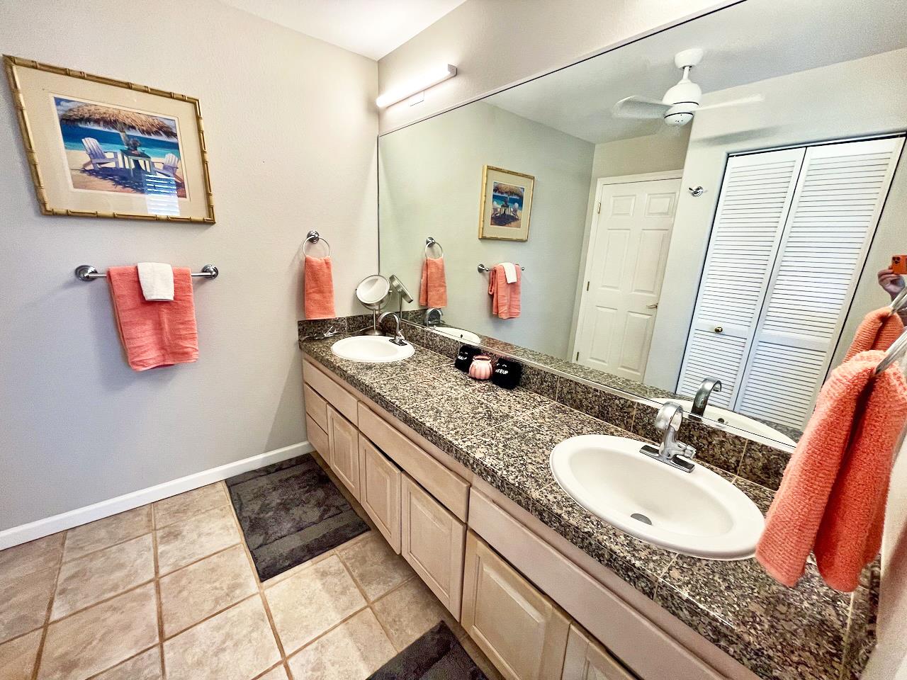 Downstairs bathroom with dual sinks