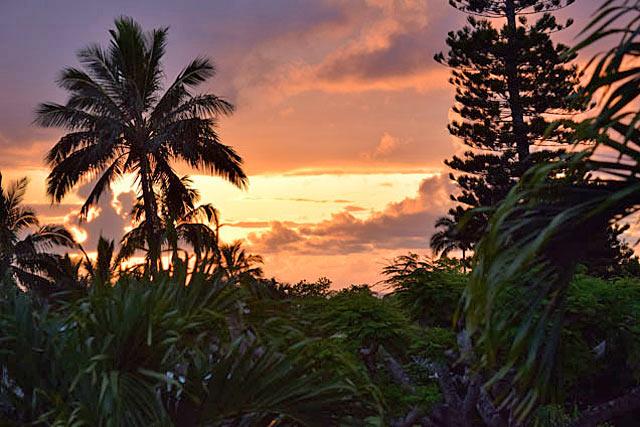 Sunset view