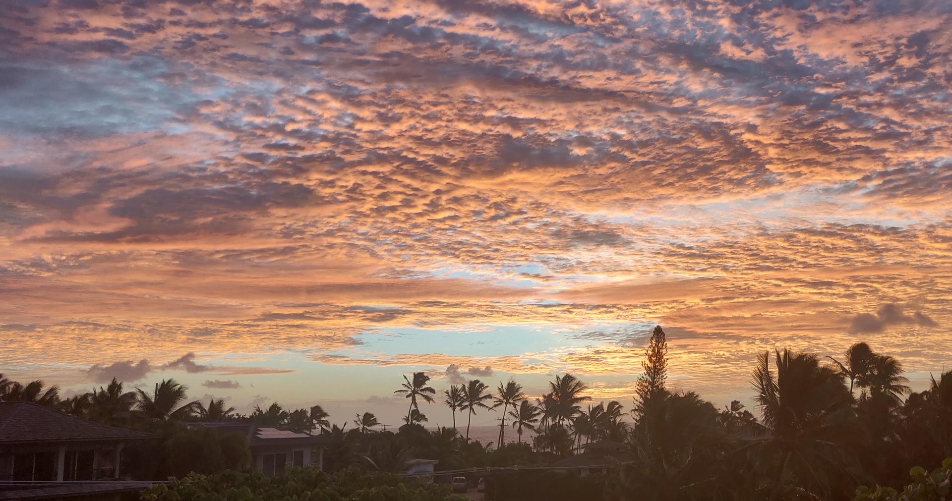 Sunrise from Sunset Kahili