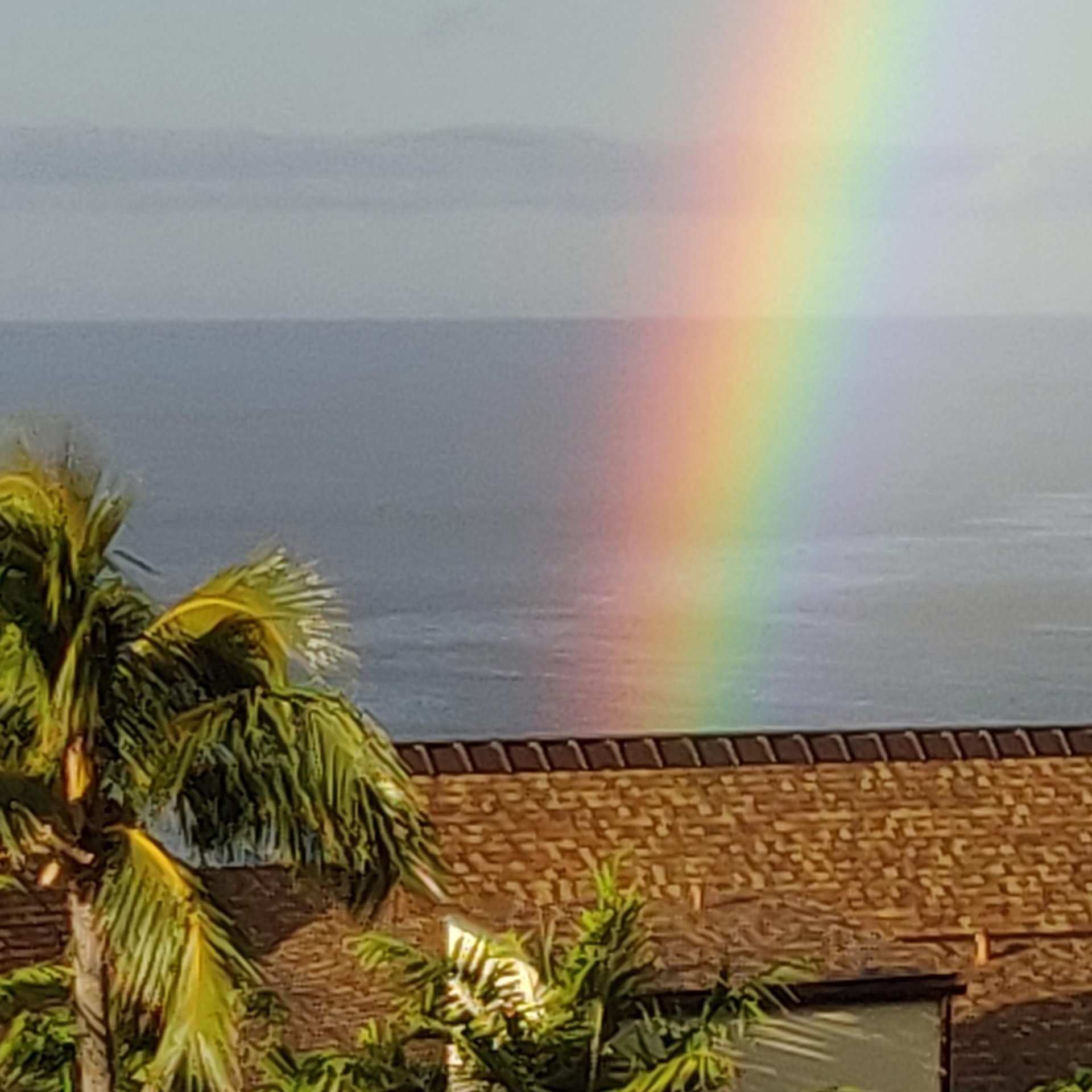 Rainbow
