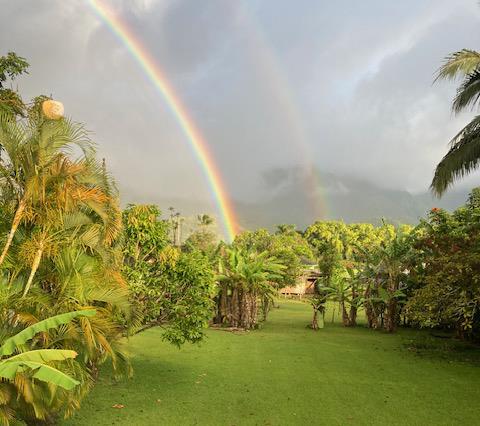 Rainbow from back yard