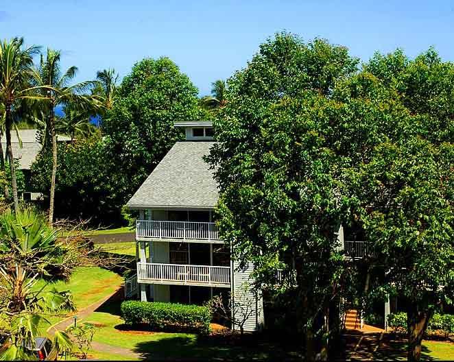 Our building on the “Garden Island”