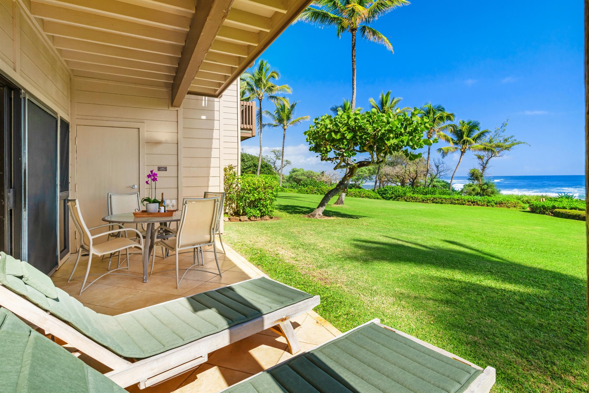 Enjoy the lanai area