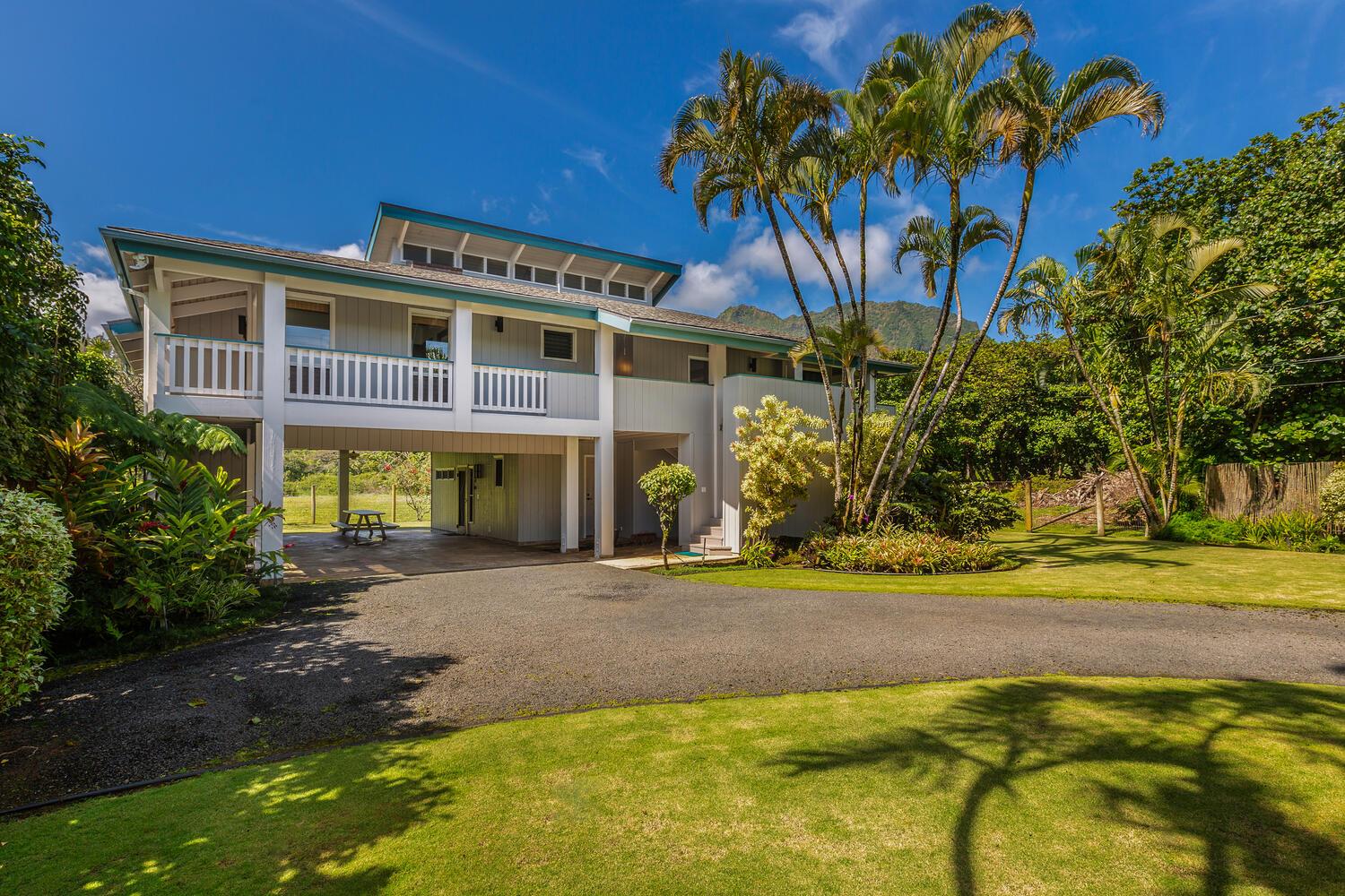 Kolohala