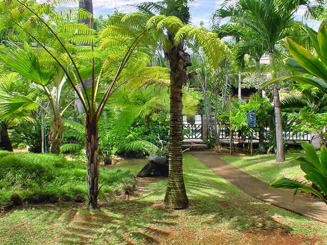 Prince Kuhio Grounds