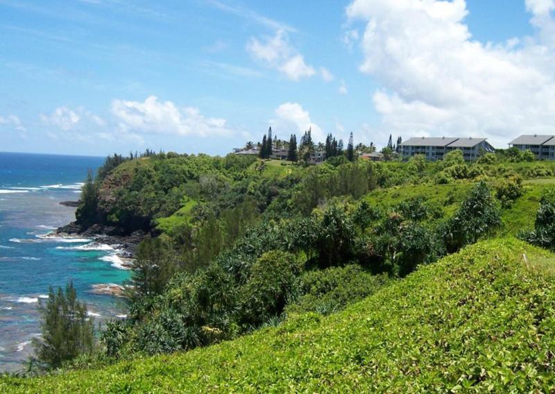 Cliff View