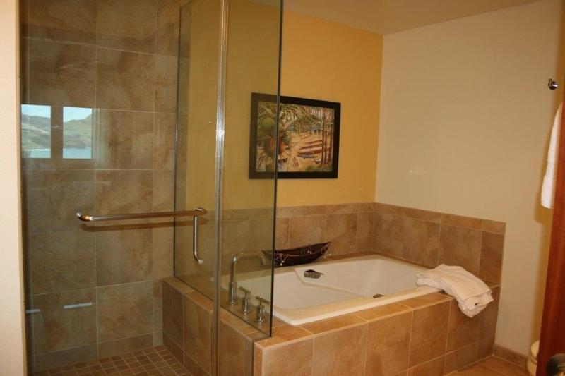 Master Bath with large walkin shower, tub, double vanity
