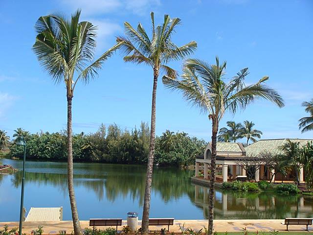 Lagoon