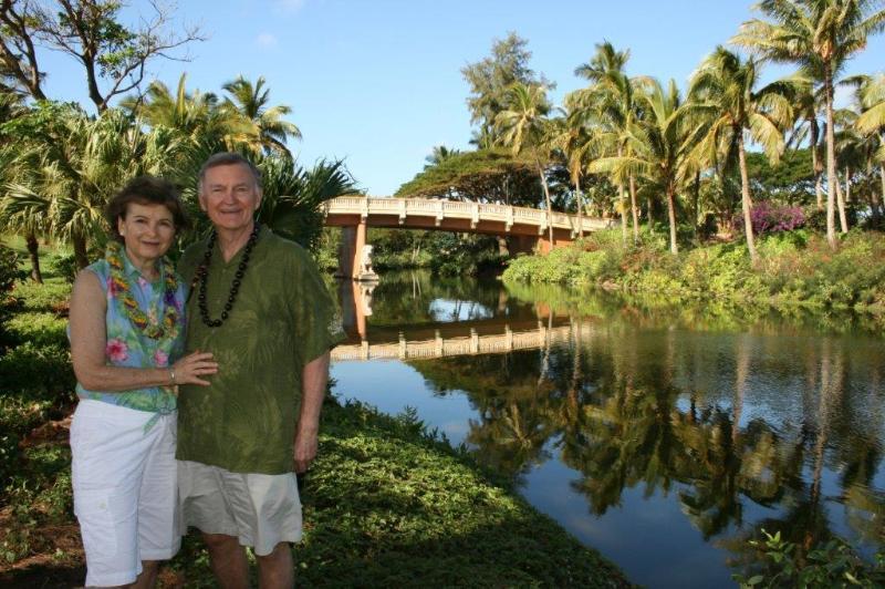 View from lagoon walk which you will love